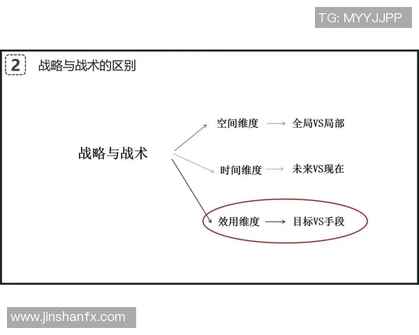 武汉网球队阵地战打法深度解析与战术优势剖析 武汉网球队阵地战打法深度解析与战术优势剖析