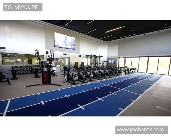 南京足球队运营全景解析：从管理模式到市场策略的深度剖析