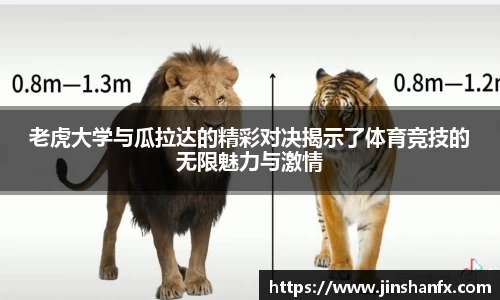爱游戏ayx官方网站